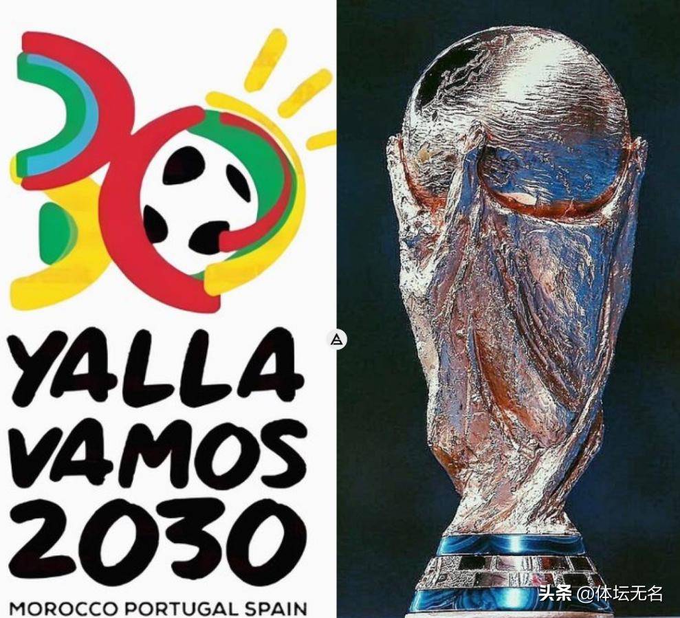 科维奇的个 科维奇的个