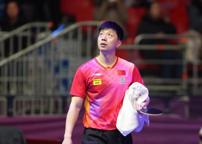 新加坡羽毛 新加坡羽毛