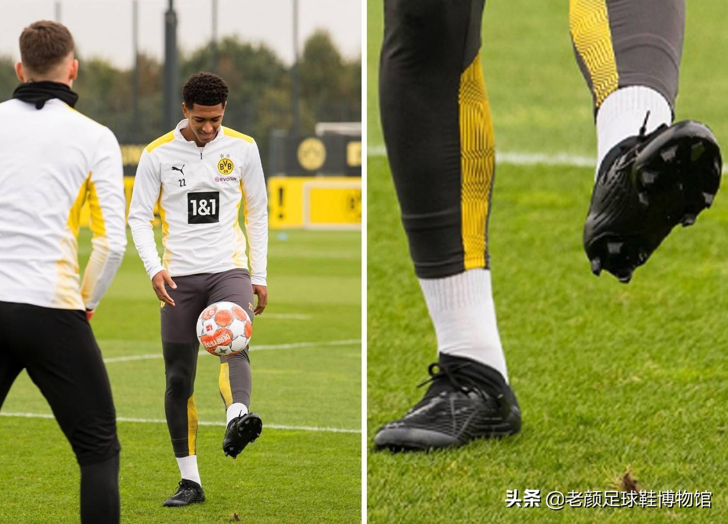 双向合同能 双向合同能